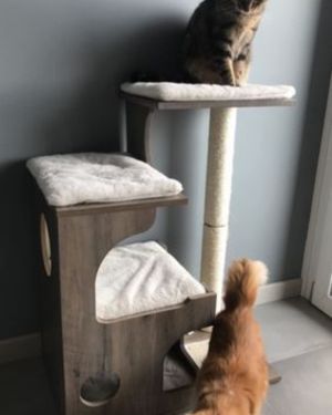 feandrea torre para gatos madera